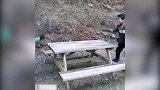 宅在家里想打乒乓球却没有球拍？意念乒乓了解一下 结尾是重点