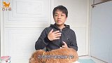 太多人喜欢法斗、巴哥犬，但是养了之后却又苦恼万分