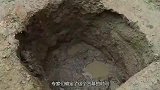 西汉古墓挖出一瓶液体，专家研究发现竟是“仙药”，成分让人恐惧