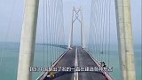 港澳珠大桥成为摆设？桥上几乎看不到车，到底是什么原因？
