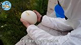 不可思议的科学现象，水上踢足球，你知道原理吗