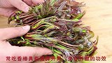 香椿简单好吃的做法，味道鲜美，营养不流失，全家爱吃