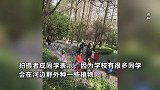 高校开放赏樱，大妈进校跨护栏挖野菜，学生：挖的可能是毕业论文