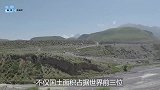 中国新疆出现了什么，引各国专家迅速来华，美国专家：要小心了
