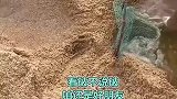 没见过的人不相信，扒开沙底都是鱼