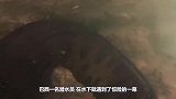大蟒蛇巴西潜水员水下惊险一幕，和米蟒蛇面对面，看的让人腿软！
