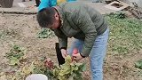 两个人一起干活有劲