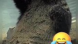 让我试试这个沐浴露好不好用