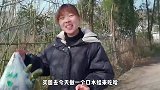 秋妹今天吃口水蛙，八只花了七十多，鲜香嫩滑几下就吃完了