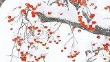 “秋去冬来万物休，唯有杮树挂灯笼”