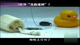 科技潮物-未来的3D世界真假难辨