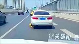 高架桥上拍到的一幕，这司机真是个狠人，不服不行！