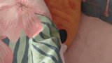 报告！这里发现一条咸鱼！猫咪 喵星人 可爱