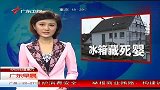 热点-德国-妇女冰箱内藏三死婴