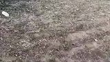 这就是在靶场需要戴护目镜的原因