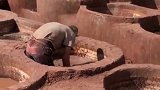 你们用的奢侈品就是这么制作的，太恶心了