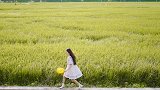 端午假期去拍组夏日田园人像吧！