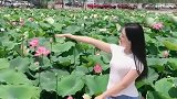 荷花池旁赏花的姑娘，微笑如沐春风，花美人美