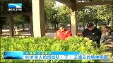 湖北新闻-20120412-85岁老人的拐杖队（下）王德云的精神家园