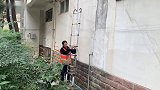 【和猫住】斗鸡眼猫咪高台呼救：救我下来，给你表演对眼！