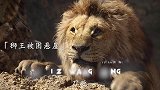 终会有一天，我会随着夕阳西下，而你会随着太阳冉冉升起