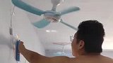 男子在企图驯服野生风扇
