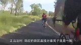 男子骑行路上，被袋鼠一记飞踢，同伴镜头拍下搞笑全程