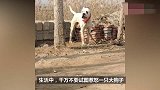 你别过来，你再过来，我就哭给你看，简直不要太逗