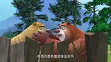 熊出没：光头强设计了陷阱，这回厉害了，狗熊不敢来捣乱了