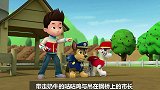 汪汪队：带走奶牛的咕咕鸡与吊在钢桥上的市长