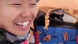 日落是看不见了，只能看日出了