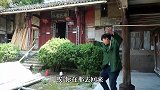 四川方言：老表在家邀圈，幺妹打药回来收拾人！