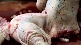 竹笋炖鸭肉，香醇可口，表妹太有口福了