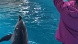 桃子小姐姐闪电来袭