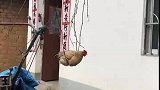 鸡：这秋千不错，挺好玩的！