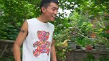 四川方言：容妹套路太深了，腊狗这回又遭了！
