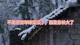 情感语录，因为长大才会觉得年味变淡了