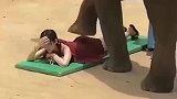 美女泰国旅游体验大象踩背，一脚下去爽歪歪，最后却不淡定了！