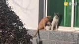 上班路上看到的一幕