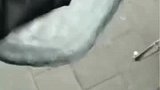 昨晚下了大雪，男子早上看见摩托全是冰