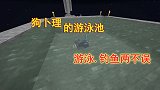 我的世界1.16联机102：狗卜理建游泳池，休闲娱乐两不误