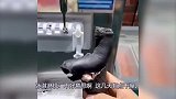 爆笑：城里人打保龄球的最新技能，一看就知道是练过的！
