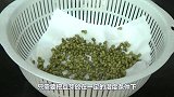 日本农民如何“发豆芽”？要不是亲眼所见，都不知道这种方法！