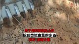 男子用挖掘机松土时，挖到类似古董的东西