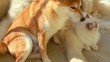 你们关系好不好取决于天气冷不冷！
