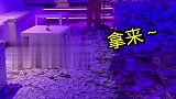 这样的活，我最愿意干