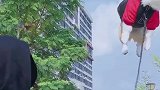 这样遛狗也太省力气了