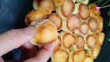 烤箱彻底被遗弃，一个电饭锅在家轻松做面包！