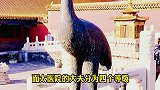 清朝皇宫里面的御医，是怎样给皇帝看病的？皇帝生病有记载吗？