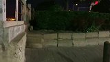 萌宠：沙哑的声音太让人心疼了，小猫咪太可怜了